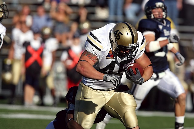 重要因素 重要因素